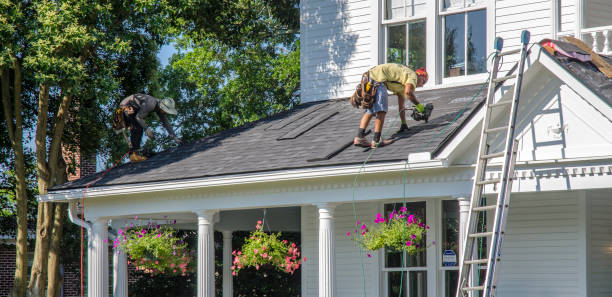 Best Gutter Installation and Roofing  in Belleville, WI